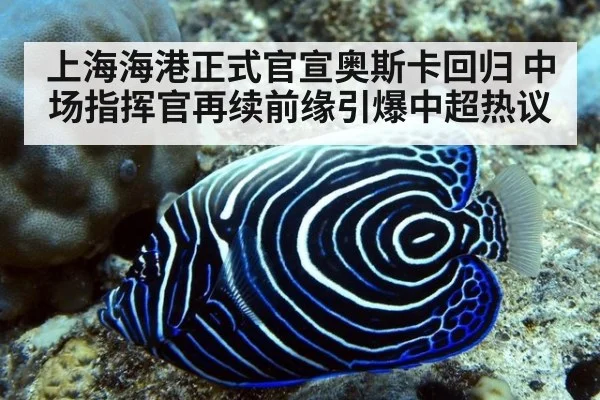 上海海港正式官宣奥斯卡回归 中场指挥官再续前缘引爆中超热议
