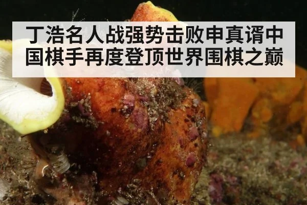 丁浩名人战强势击败申真谞中国棋手再度登顶世界围棋之巅